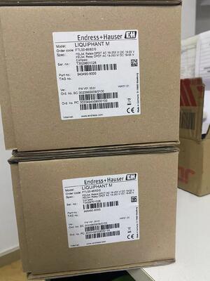 E+H FTL50-1DN80/0 Liquiphant M Vibronic Tuning Fork ปัจจัยการปรับระดับสวิตช์