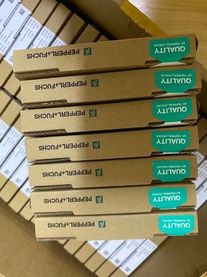 Z787.H Zener PEPPERL FUCHS ปกปิดแยก 2 ช่อง รุ่นพลังงานสูง