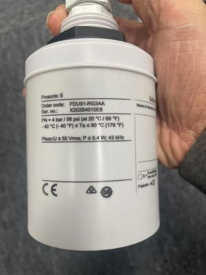 Endress Hauser FDU91-RGZAA เครื่องตรวจจับความรุนแรง ultrasonic สําหรับการวัดระดับและการไหลผ่านสําหรับการเชื่อมต่อกับ FMU9x