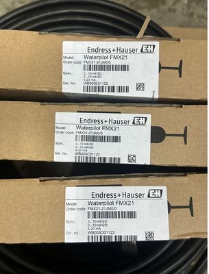 เซ็นเซอร์วัดระดับของเหลวแบบความดันสถิต Endress Hauser FMX21-21JM0/0