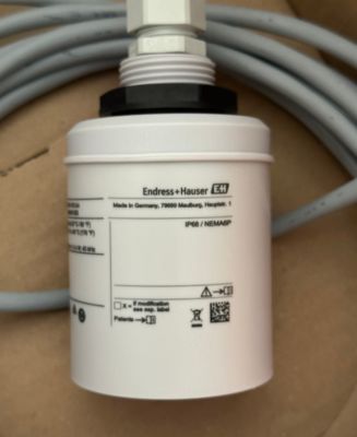 Endress Hauser FDU91-RG1AA เครื่องตรวจจับระดับฉายา