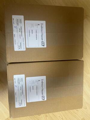 Endress Hauser FQR56-AAEAAXFA1 เครื่องผลิตสัญญาณความมั่นคงสูงสําหรับระบบวัดอุตสาหกรรม