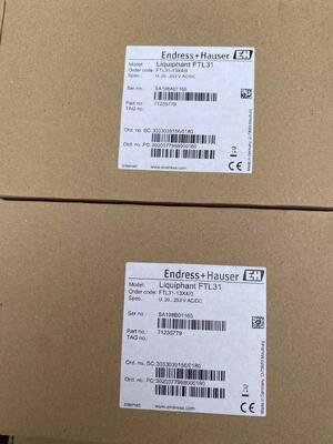 Endress Hauser FTL31-13X4/0 เครื่องปรับระดับฟอร์คที่เชื่อถือได้