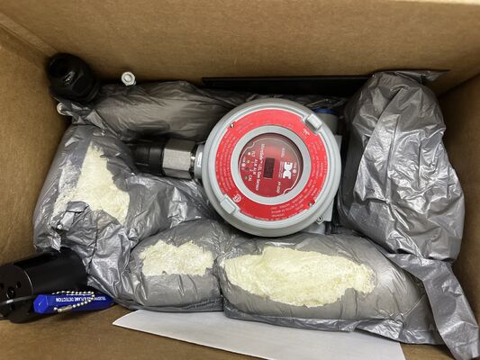 Teledyne 965-525420-100 เครื่องตรวจจับก๊าซเผาไหม้แบบกระตุ้นความน่าเชื่อถือสูง